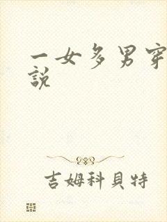一女多男穿越小说