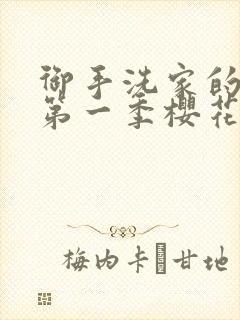 御手洗家的破洞第一季樱花动漫