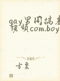 gay男同搞基视频com.boy