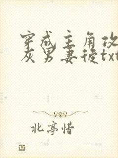 穿成主角攻的炮灰男妻后txt免费下载