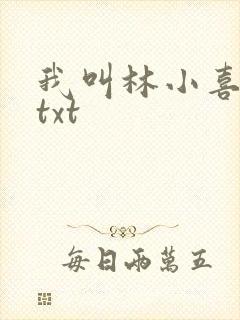 我叫林小喜小说txt