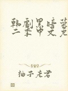 韩剧黑暗荣耀第二季中文免费观看封面