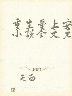 重生爱上安子迁小说全文免费阅读