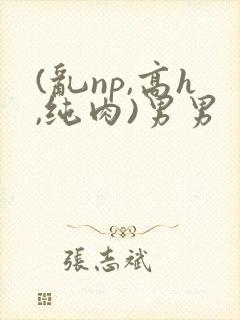 (乱np,高h,纯肉)男男