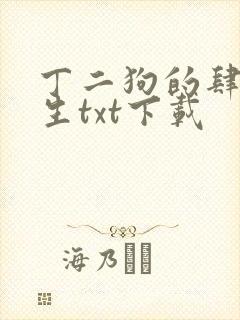 丁二狗的肆意人生txt下载封面