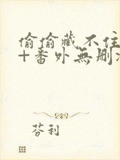 偷偷藏不住全文+番外无删减