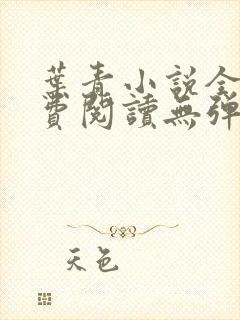 叶青小说全文免费阅读无弹窗