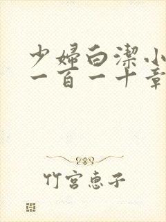 少妇白洁小说第一百一十章