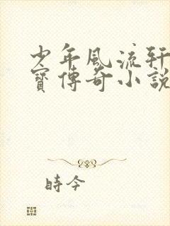 少年风流轩辕大宝传奇小说