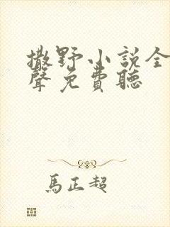 撒野小说全集有声免费听