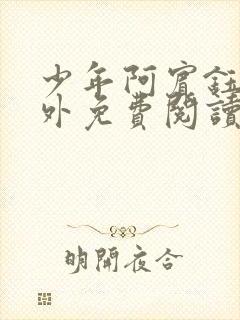 少年阿宾钰慧番外免费阅读封面