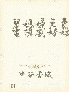 儿媳妇免费观看电视剧好姑娘4