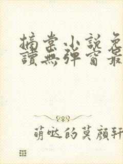 摘棠小说免费阅读无弹窗最新章节