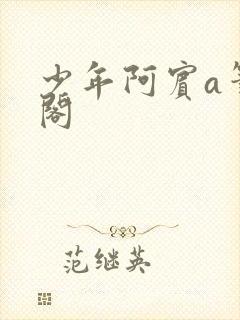 少年阿宾a笔趣阁封面