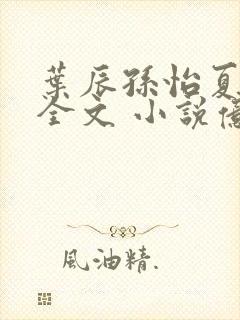 叶辰孙怡夏若雪全文 小说亿软