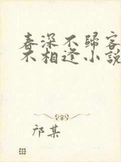 春深不归客清梦不相逢小说全文阅读封面