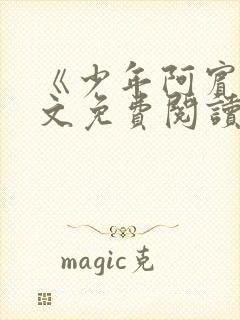 《少年阿宾》全文免费阅读封面