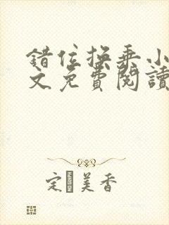 错位换乘小说全文免费阅读