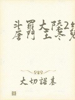 斗罗大陆2绝世唐门 王冬儿封面