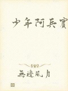 少年阿兵宾封面
