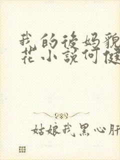 我的后妈貌美如花小说何健免费阅读