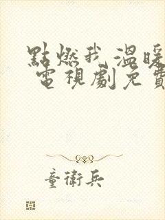 点燃我温暖的你 电视剧免费下载