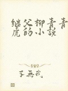 继父柳青青和王虎的小说封面