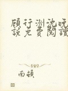 顾行洲沈晚宁小说免费阅读最新章节