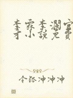 李霖李澜官场奇才小说免费阅读