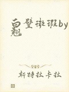 白璧微瑕by连翘