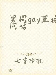男同gay互操网站