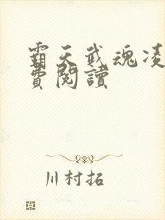 霸天武魂凌霄免费阅读