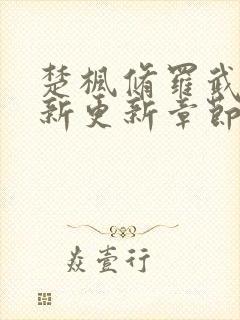 楚枫修罗武神最新更新章节