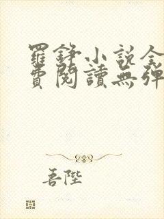 罗铮小说全文免费阅读无弹窗封面