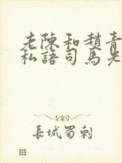 老陈和赵青窃窃私语司马光小说封面