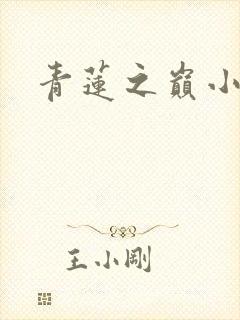 青莲之巅小说封面