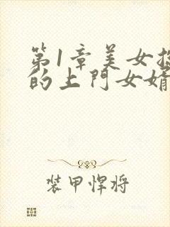 第1章美女总裁的上门女婿