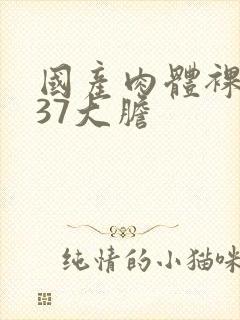 国产肉体裸体137大胆