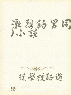 激烈的男同(h)小说