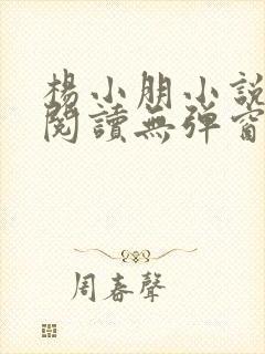 杨小朋小说免费阅读无弹窗