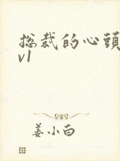 总裁的心头宝1v1