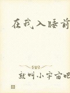 在我入睡前