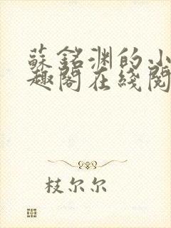 苏铭渊的小说笔趣阁在线阅读