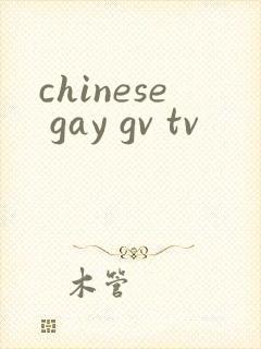 chinese gay gv tv