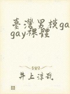 台湾男模gaygay裸体封面