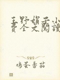 王野娟子小说免费全文阅读封面