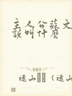 主人公苏文的小说叫什么