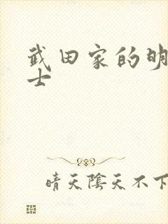 武田家的明国武士封面