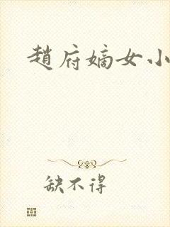 赵府嫡女小说封面