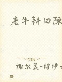 老牛耕田陈雪